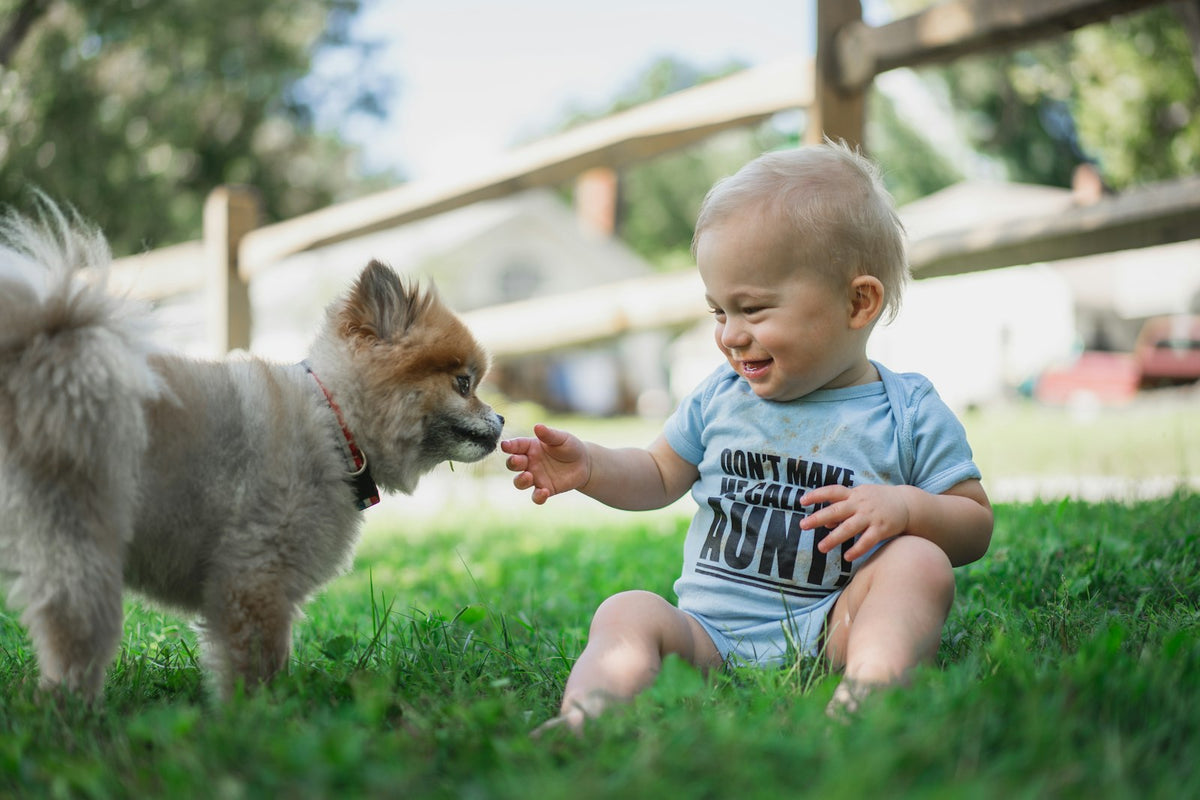 Toddler sitting on grass with a small dog