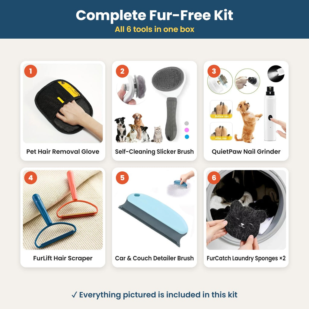 Complete Fur-Free Kit: all 6 tools included